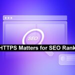SEO Rankings